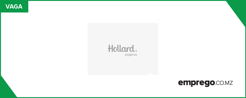 Hollard Mo Ambique Seguros Assistente De Coordena O De Rede M Dica